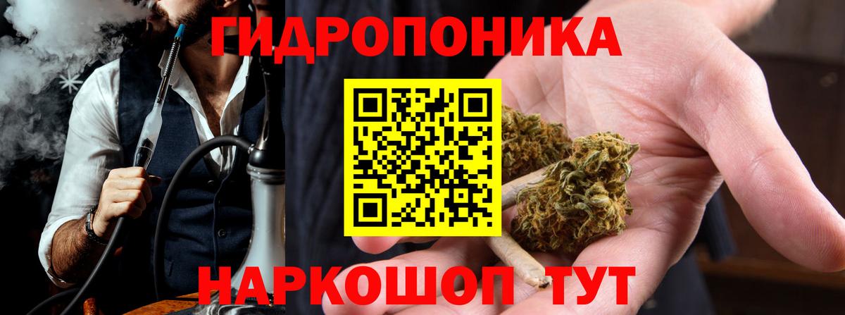 Бошки Шишки Amnesia Кунгур